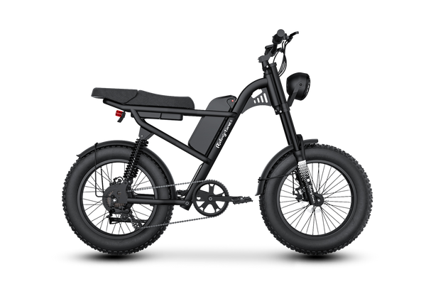 Z8 Moped-Style Electric Bike Pro