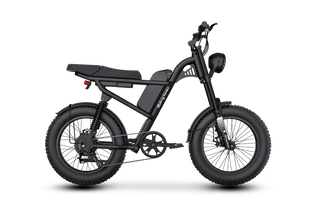 Vélo Électrique Z8