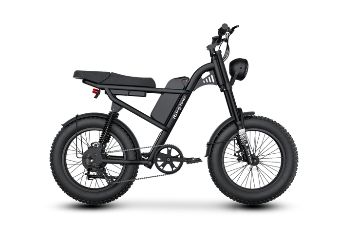 Z8 & Z8 Pro 500W Moped-Style Fat Tire Electric Bike