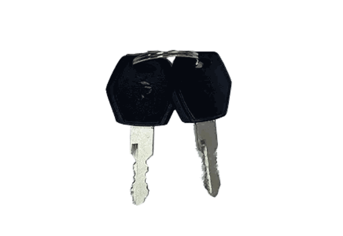 Battery Key set with two silver metal keys and black plastic heads connected by a small metal ring