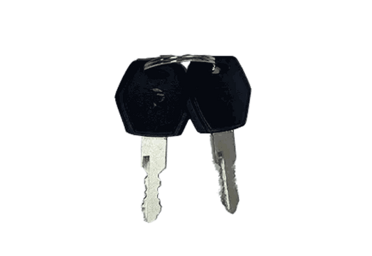 Battery Key set with two silver metal keys and black plastic heads connected by a small metal ring