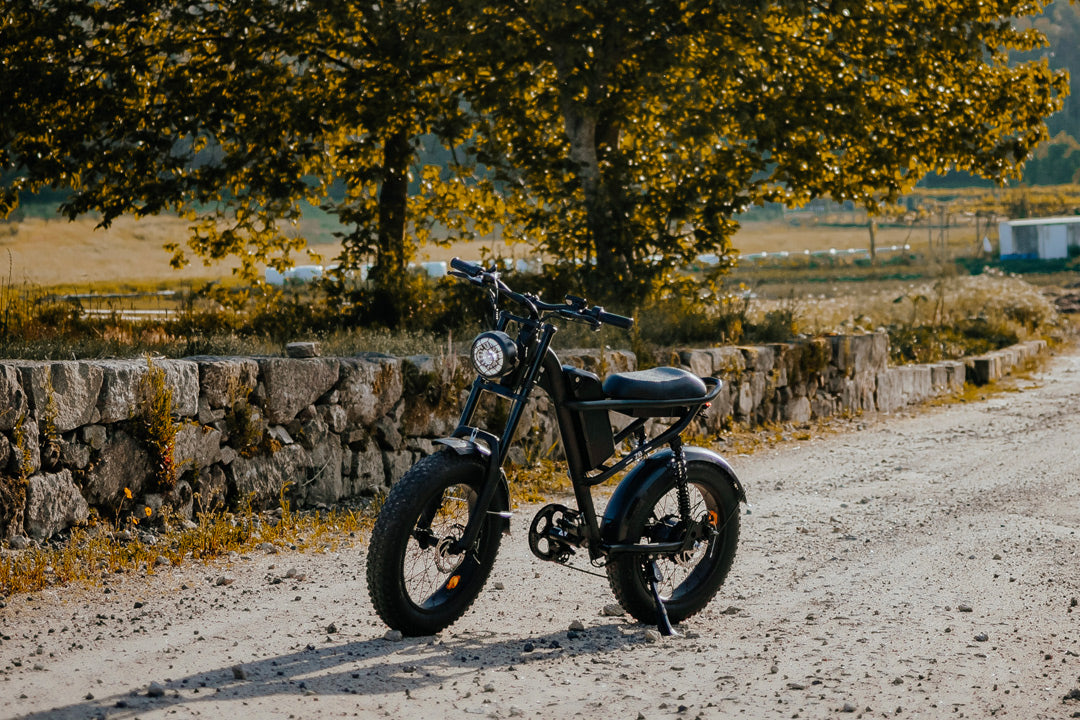 28zpro Riding Times Z8 Moped-Style Electric Bike & Riding'times Canada